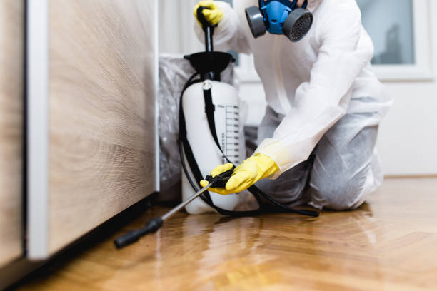 Best Exterminator Services  in Clarion, IA