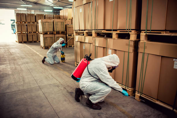 Best Pest Removal Services  in Clarion, IA