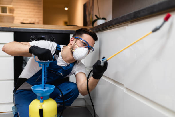 Best Pest Removal Services  in Clarion, IA