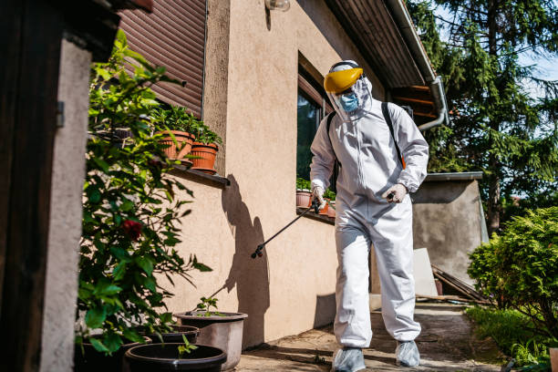 Best Flea Control Services  in Clarion, IA