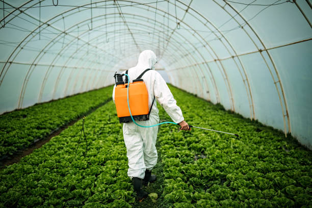 Pest Control for Restaurants in Clarion, IA