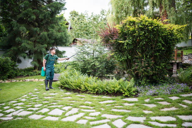 Best Mosquito Control Services  in Clarion, IA