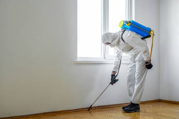 Best Local Pest Control Services  in Clarion, IA