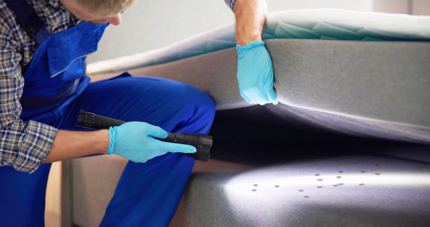 Best Commercial Pest Control Services  in Clarion, IA