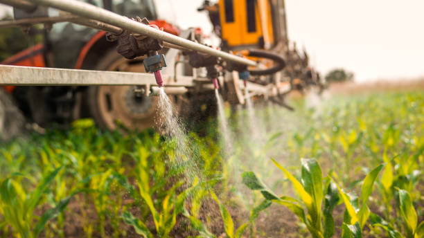 Best Ant Control Services  in Clarion, IA